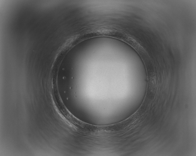 X0000073860734200608241108