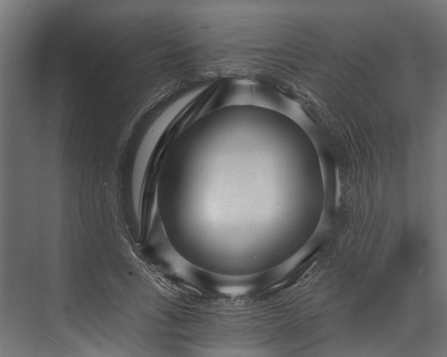 X0000073860735200608241108