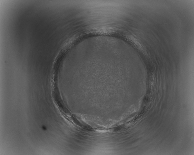 X0000073860736200608241108