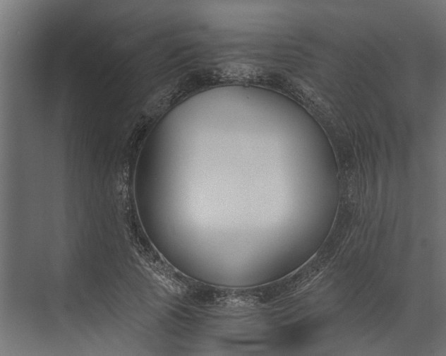 X0000073860737200608241108