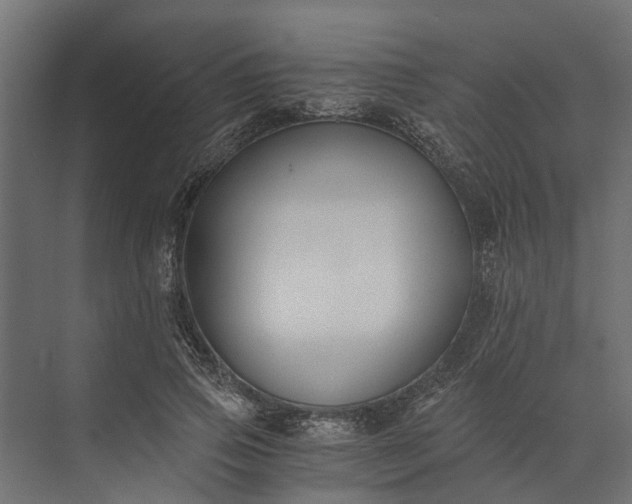 X0000073860741200608241108