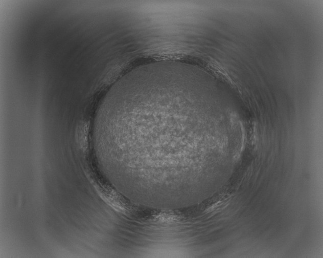 X0000073860742200608241108