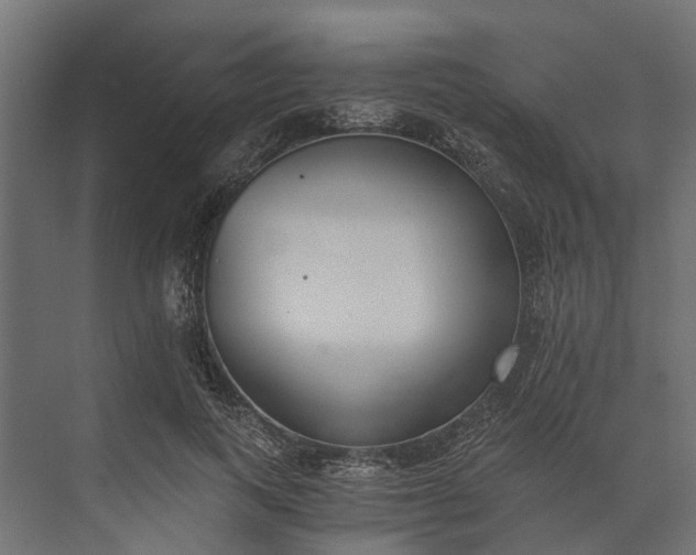 X0000073860743200608241108