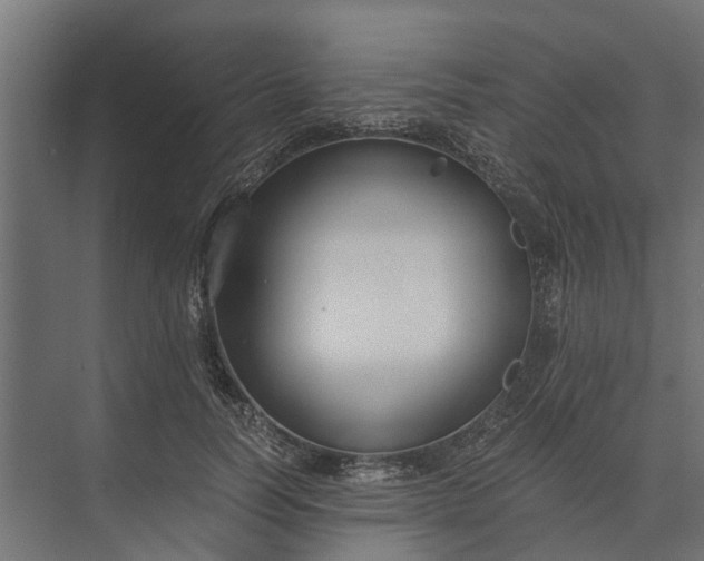 X0000073860746200608241108