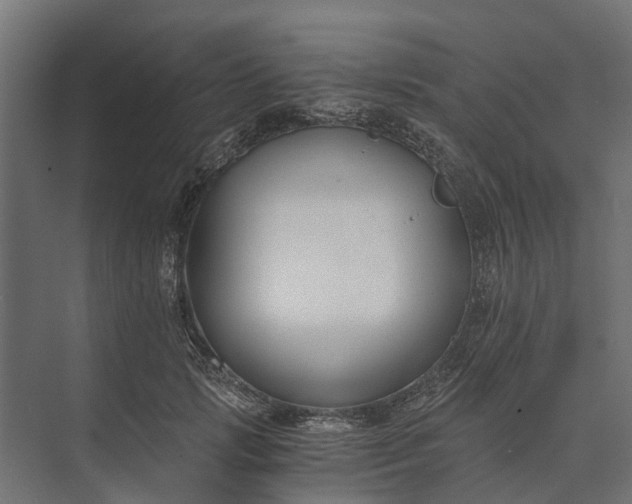 X0000073860749200608241108