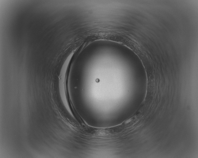 X0000073860750200608241108