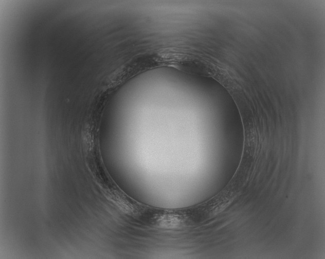 X0000073860751200608241108