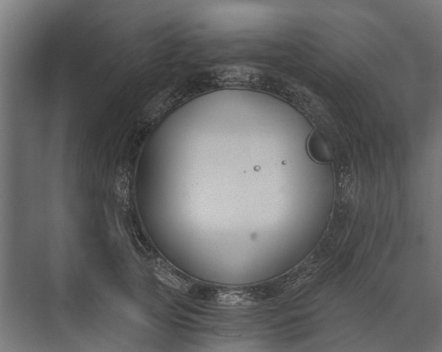 X0000073860753200608241108