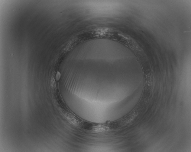 X0000073860754200608241108