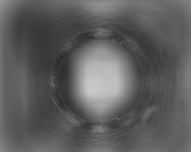 X0000073860755200608241108