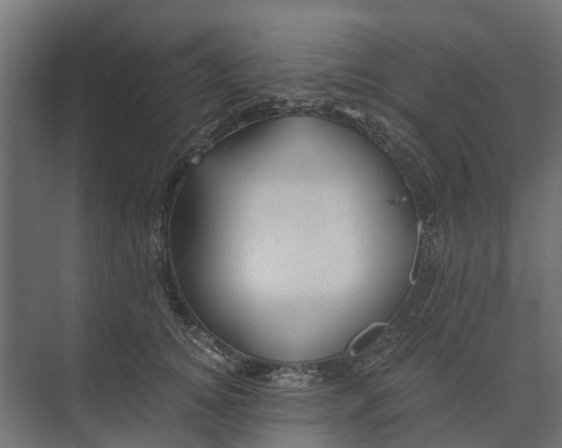 X0000073860756200608241108