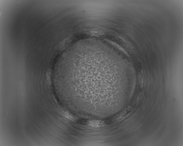 X0000073860757200608241108