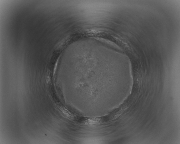 X0000073860758200608241108