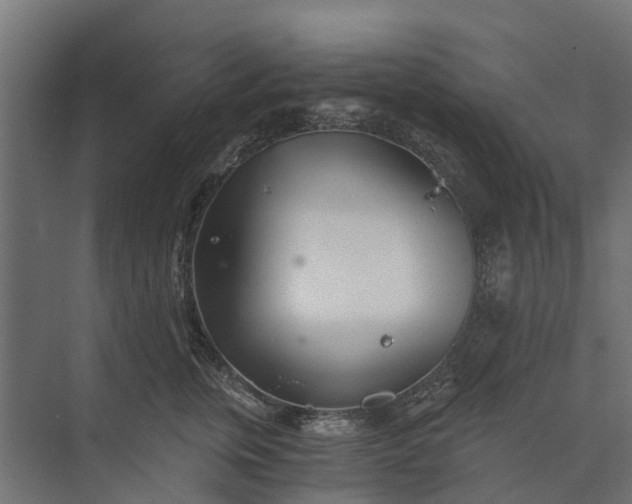 X0000073860759200608241108