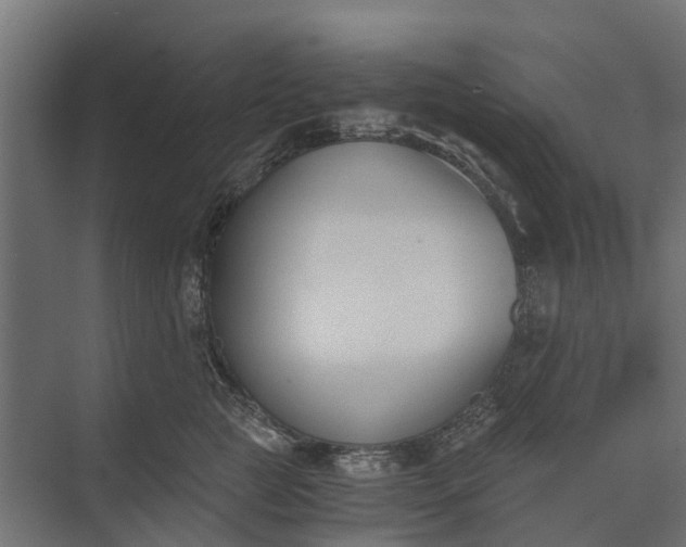 X0000073860761200608241108