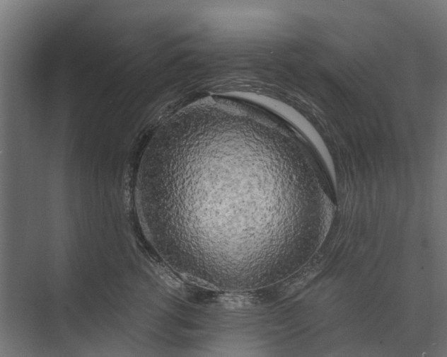 X0000073860762200608241108