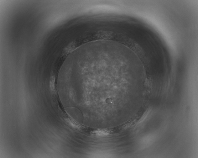 X0000073860765200608241108