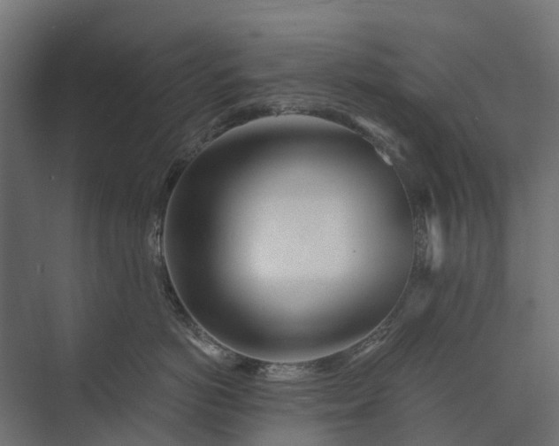 X0000073860766200608241108