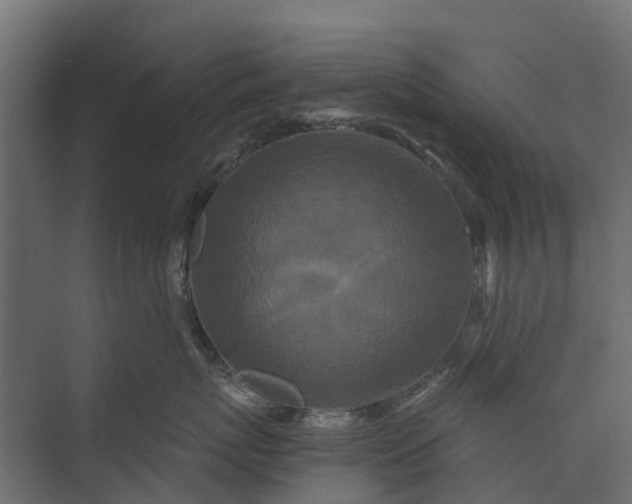 X0000073860767200608241108