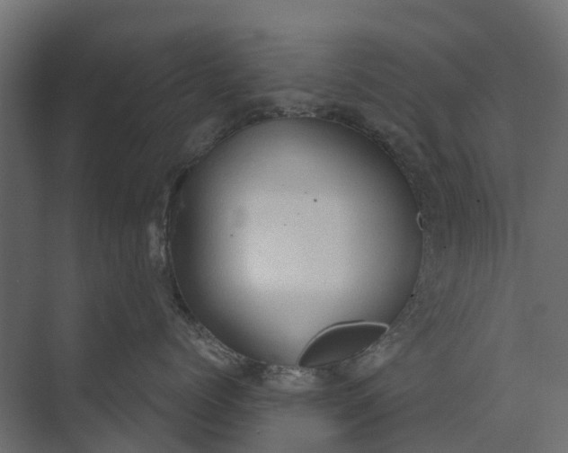 X0000073860768200608241108