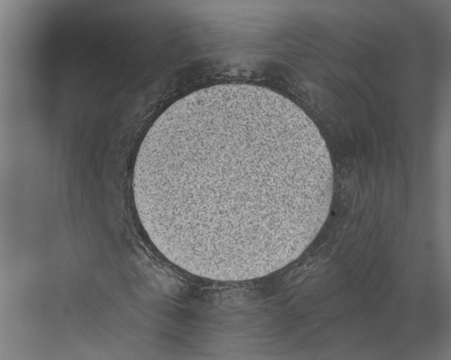 X0000073860769200608241108