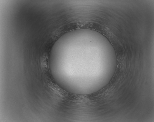 X0000073860770200608241107