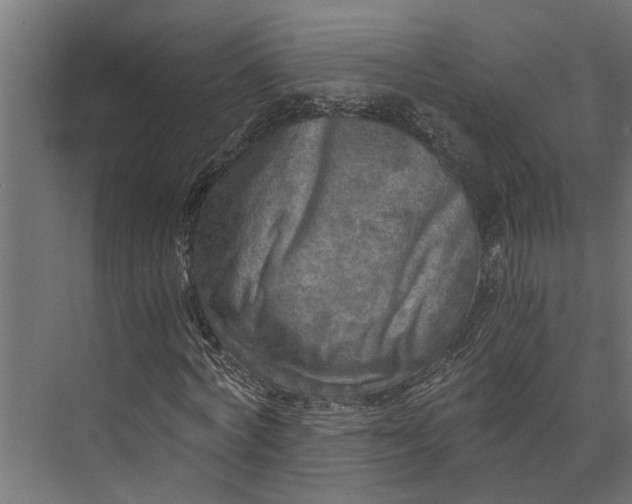 X0000073860772200608241107