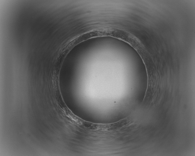 X0000073860773200608241107