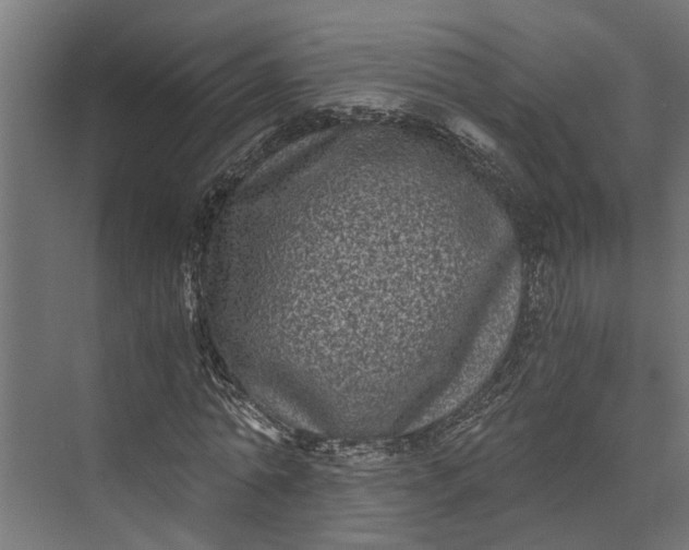 X0000073860774200608241107