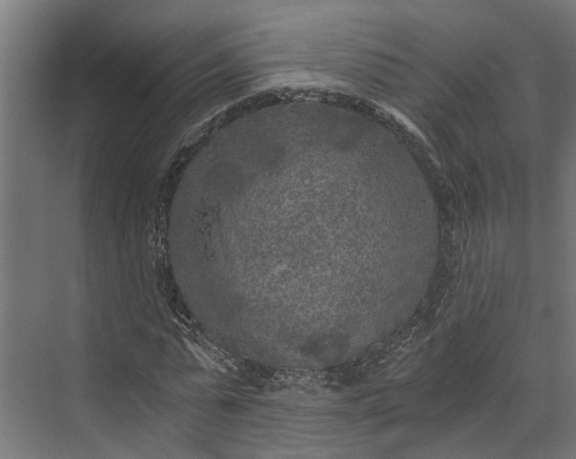 X0000073860775200608241107