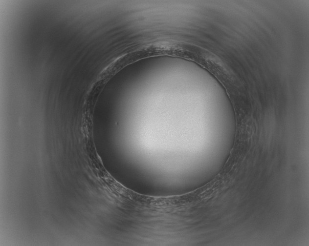 X0000073860776200608241107