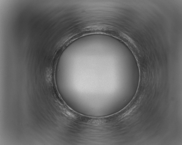 X0000073860778200608241107