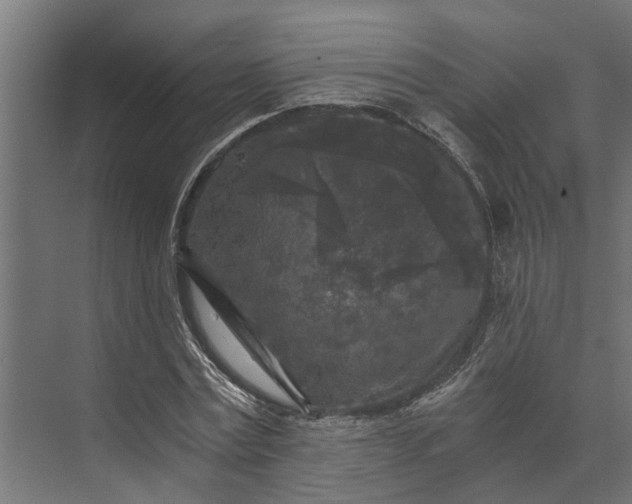 X0000073860779200608241107