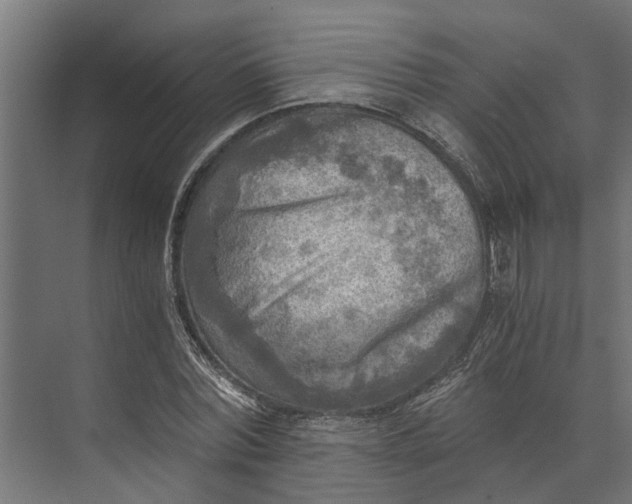 X0000073860780200608241107