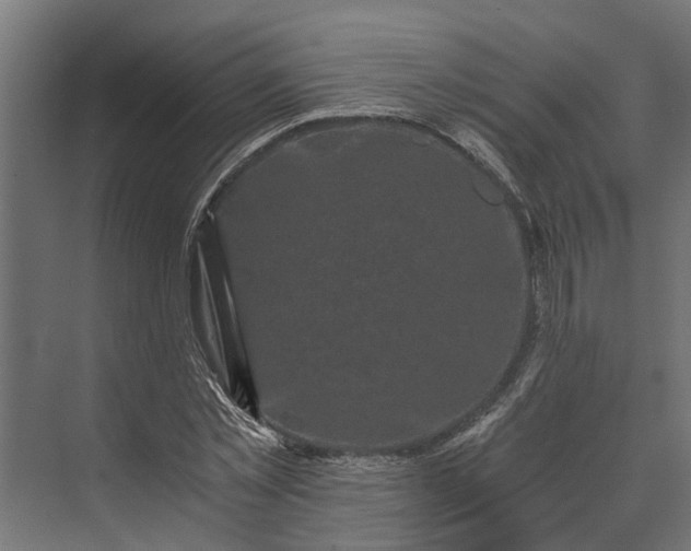 X0000073860781200608241107