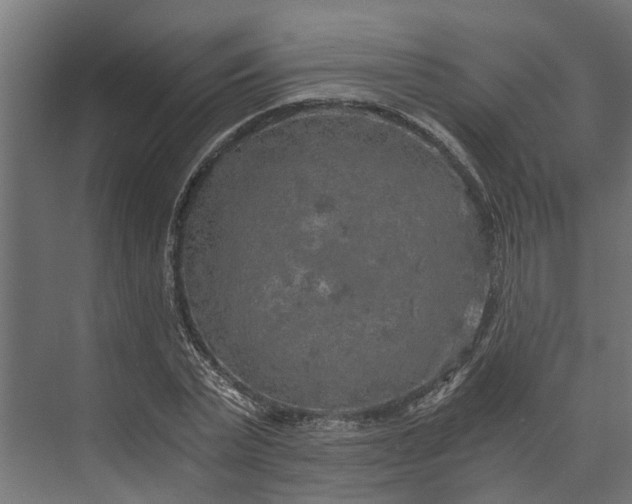 X0000073860783200608241107