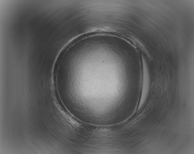 X0000073860784200608241107