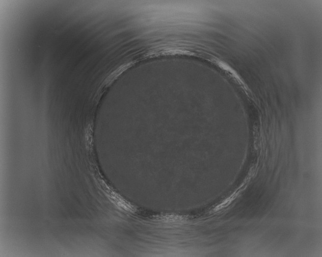 X0000073860785200608241107