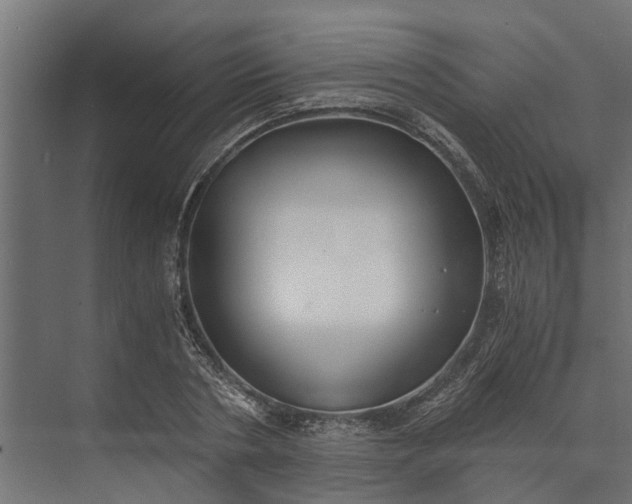 X0000073860786200608241107