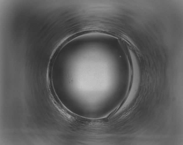 X0000073860788200608241107