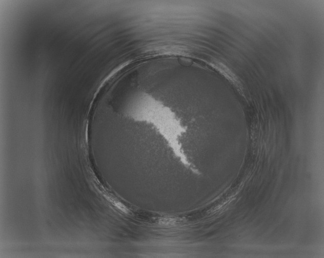 X0000073860790200608241107