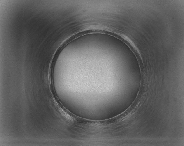 X0000073860791200608241107