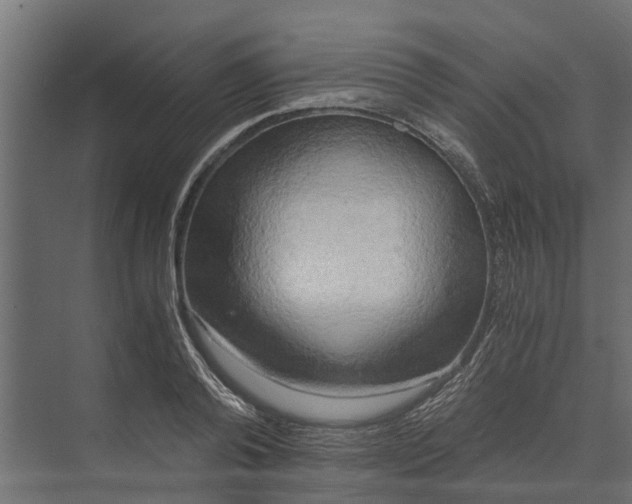 X0000073860792200608241107