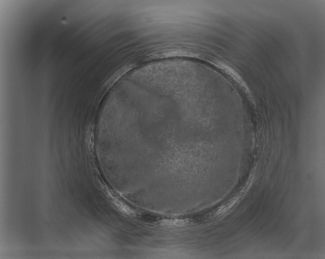 X0000073860793200608241107