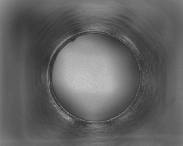 X0000073860796200608241107