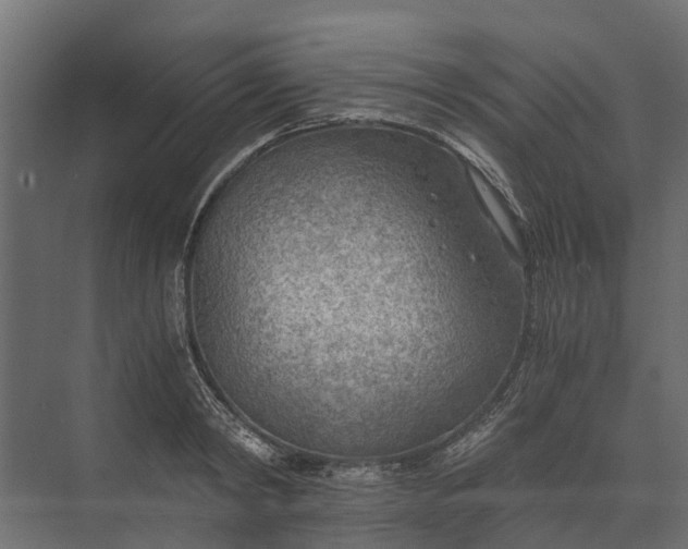 X0000073860798200608241107