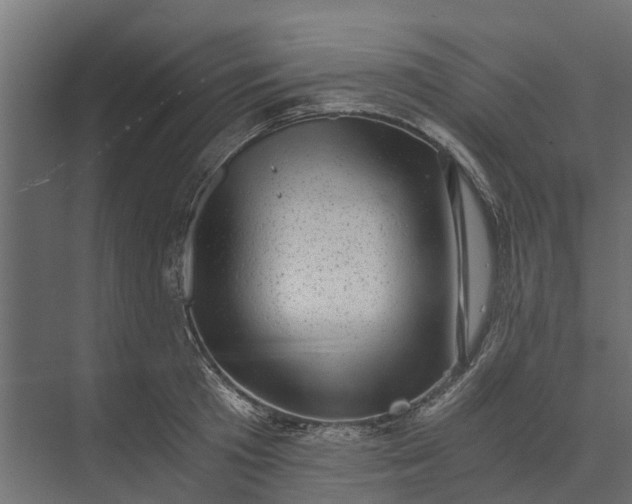 X0000073860801200608241107