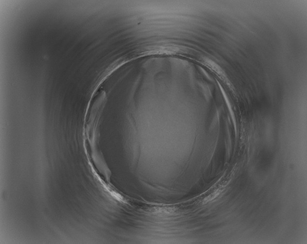 X0000073860802200608241107