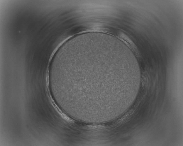 X0000073860804200608241107