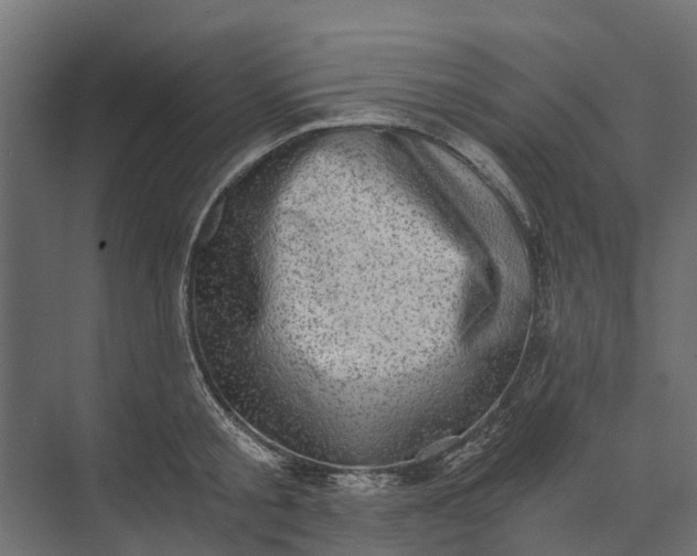 X0000073860805200608241107